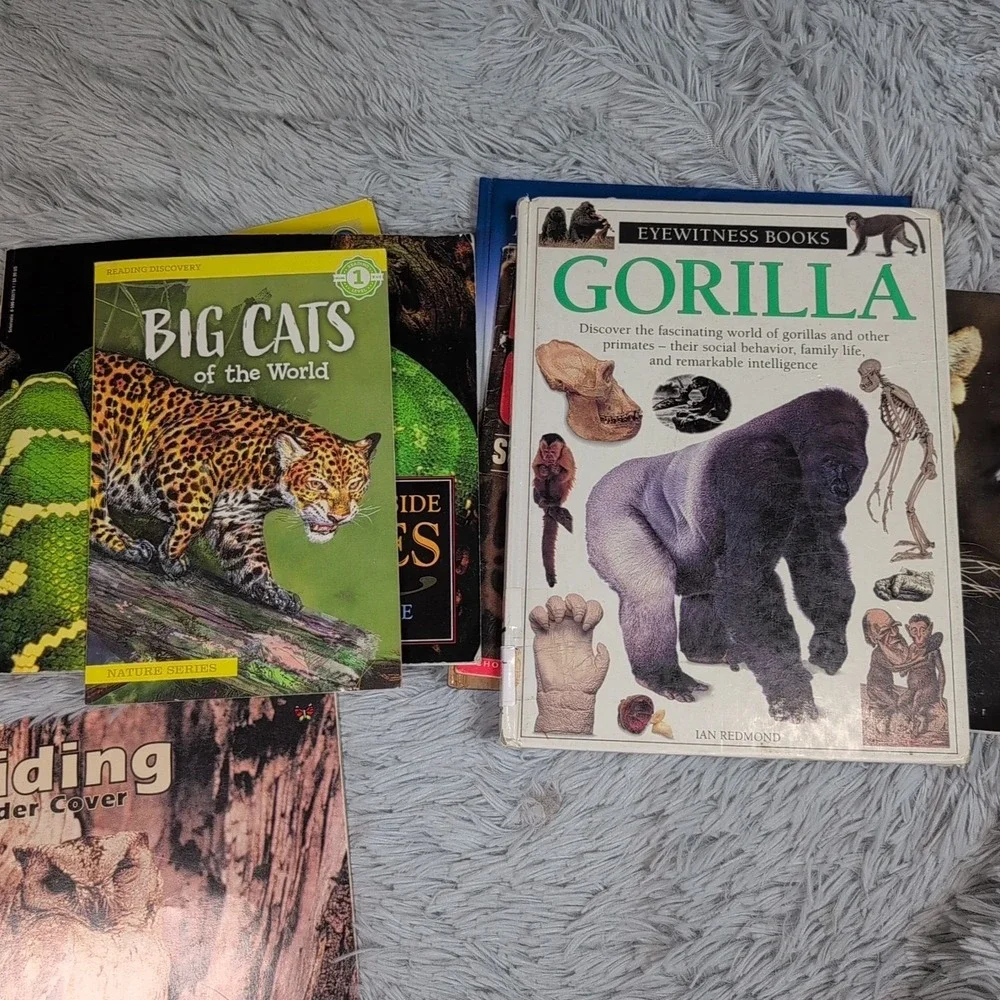 Random Lot of 20 Children Books‎ Animals Homeschool Gorilla Bears Cats